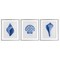 Stupell Industries Blue Chinoiserie Seashells 3pc Framed Print Under Glass Set, design by Courtney Prahl
